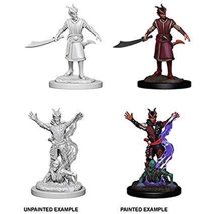 Nolzurs Marvelous Miniatures - Tiefling Warlock